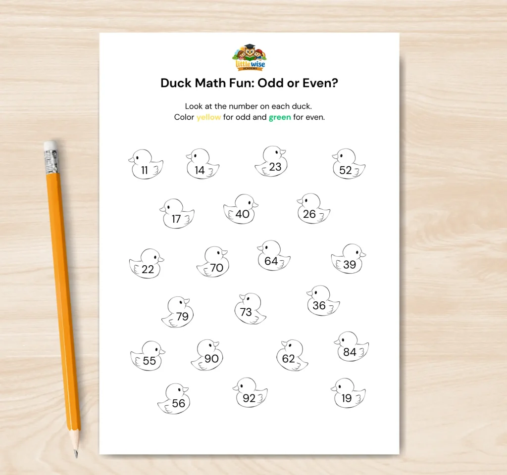 duck math fun odd and even numbers worksheet